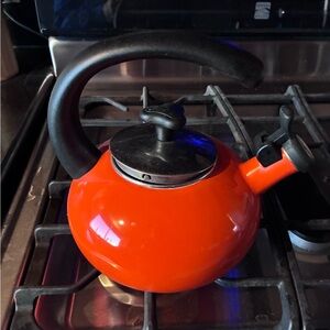 Rachael Ray Orange Whistling Tea Kettle Enamel Stainless Steel Ergonomic Handle